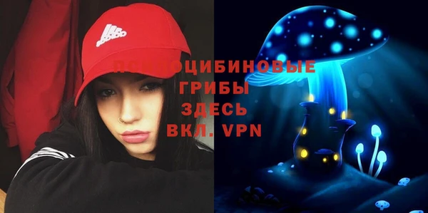 стафф Абдулино