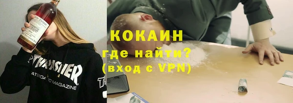 шишки Покров
