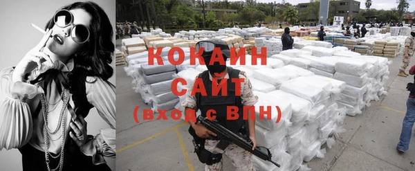 индика Абинск