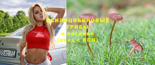 шишки Покров
