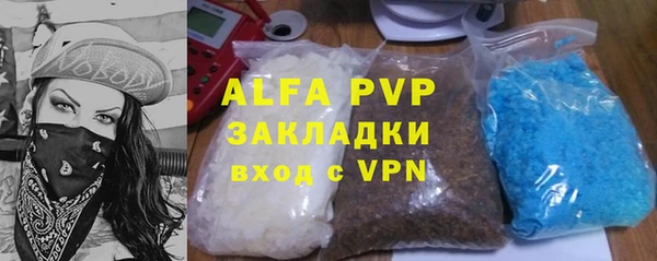 индика Абинск