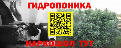 не бодяженный Краснодар