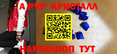 PSILOCYBIN Можга