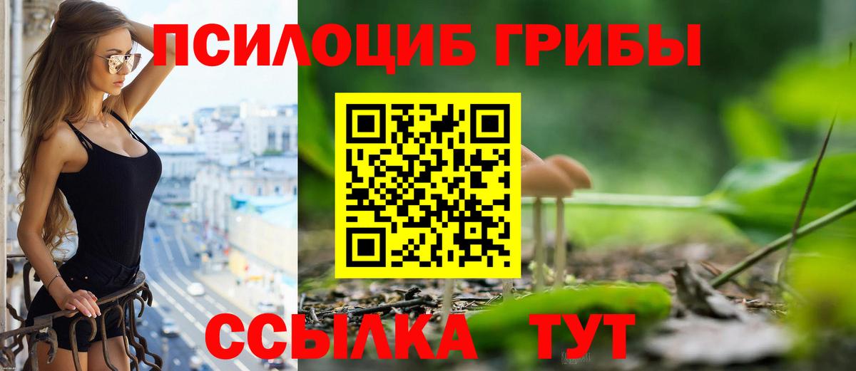 Псилоцибиновые грибы прущие грибы Карталы